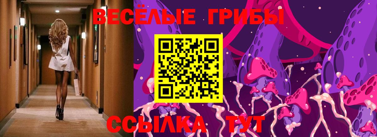 Псилоцибиновые грибы Россия
