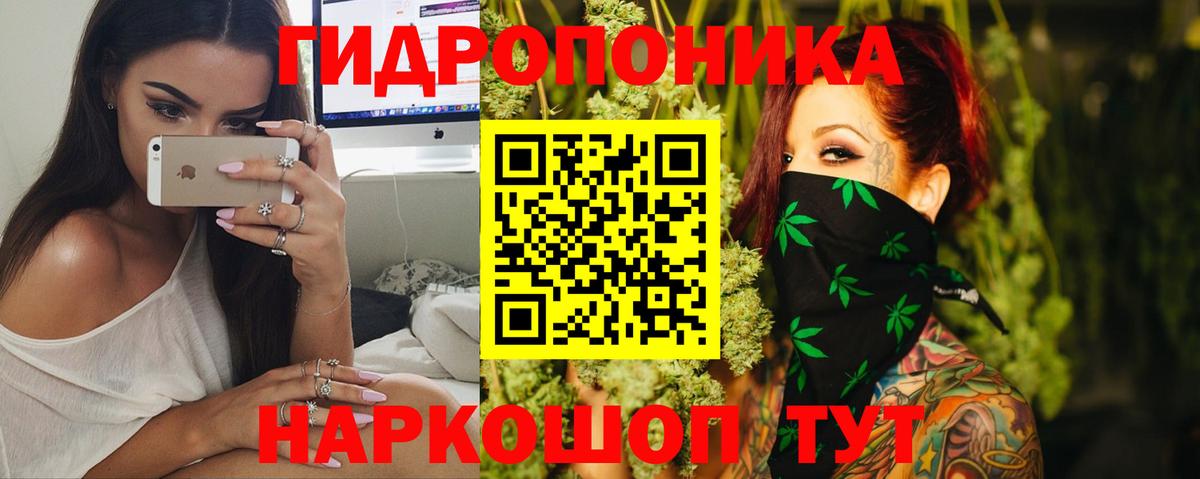 Бошки Шишки индика Россия